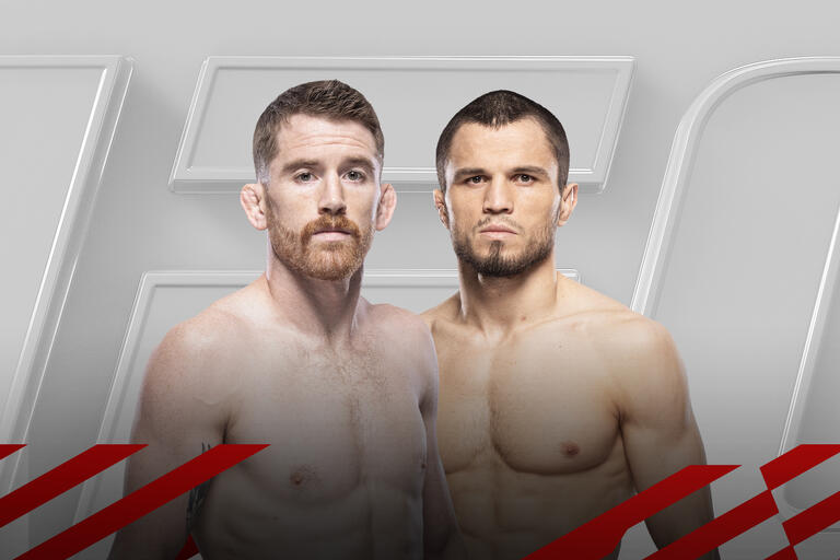 UFC IPTV Trends